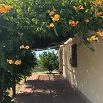 Cerrogrosso