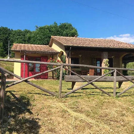 Cerrogrosso Riparbella